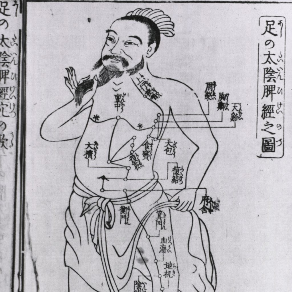 Chakras and Acupuncture&nbsp;Points