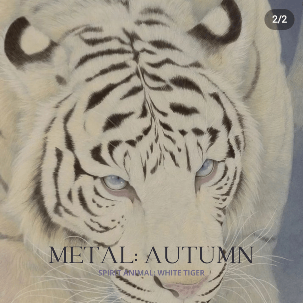 What does it mean for Autumn to be in the Metal Phase?